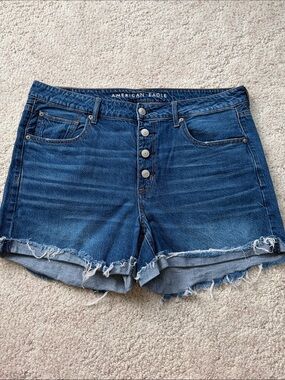 AE Tomgirl Shorts